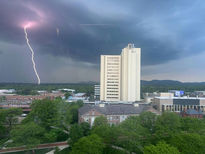 “Fox With A McDonald’s Takeaway?”: Once-In-A-Lifetime Photos Taken At The Exact Perfect Moment