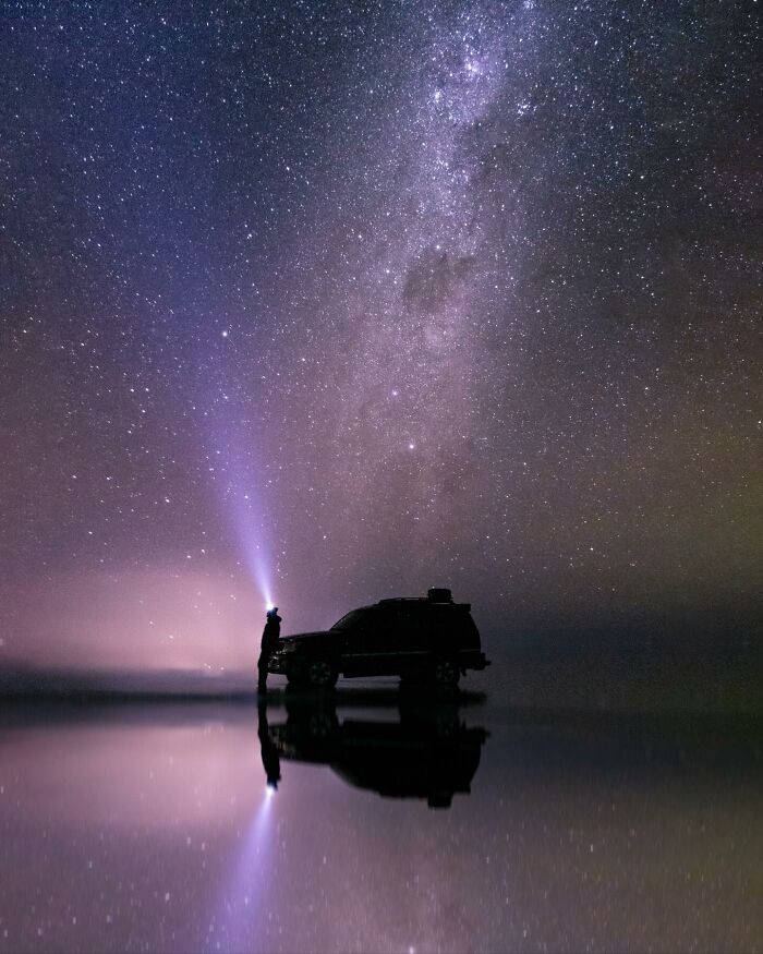 “Fox With A McDonald’s Takeaway?”: Once-In-A-Lifetime Photos Taken At The Exact Perfect Moment