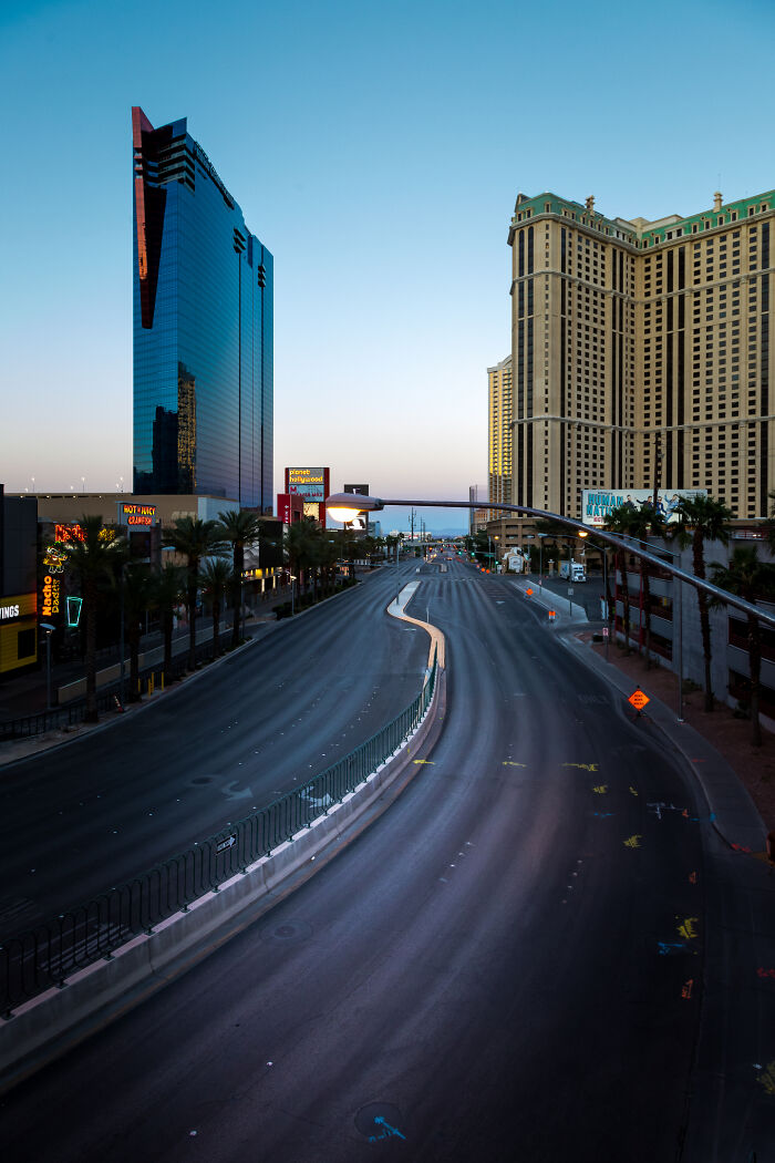 “Fox With A McDonald’s Takeaway?”: Once-In-A-Lifetime Photos Taken At The Exact Perfect Moment