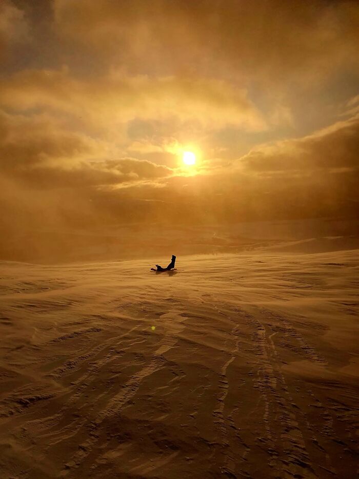 “Fox With A McDonald’s Takeaway?”: Once-In-A-Lifetime Photos Taken At The Exact Perfect Moment