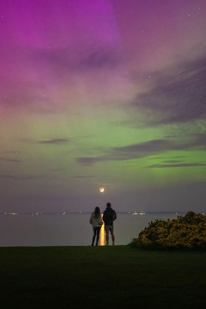 “Fox With A McDonald’s Takeaway?”: Once-In-A-Lifetime Photos Taken At The Exact Perfect Moment