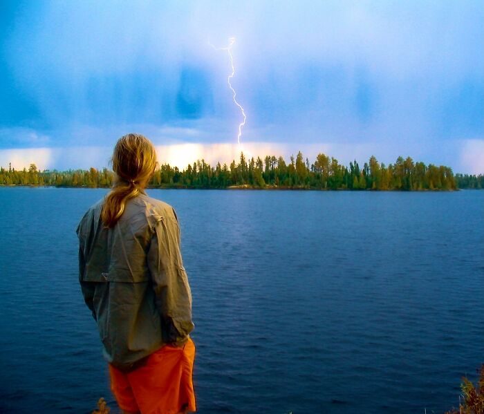 “Fox With A McDonald’s Takeaway?”: Once-In-A-Lifetime Photos Taken At The Exact Perfect Moment