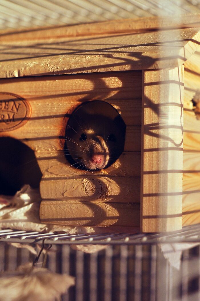 48 Disturbing Things People Mentioned Casually Without Realizing How Bad It Sounded