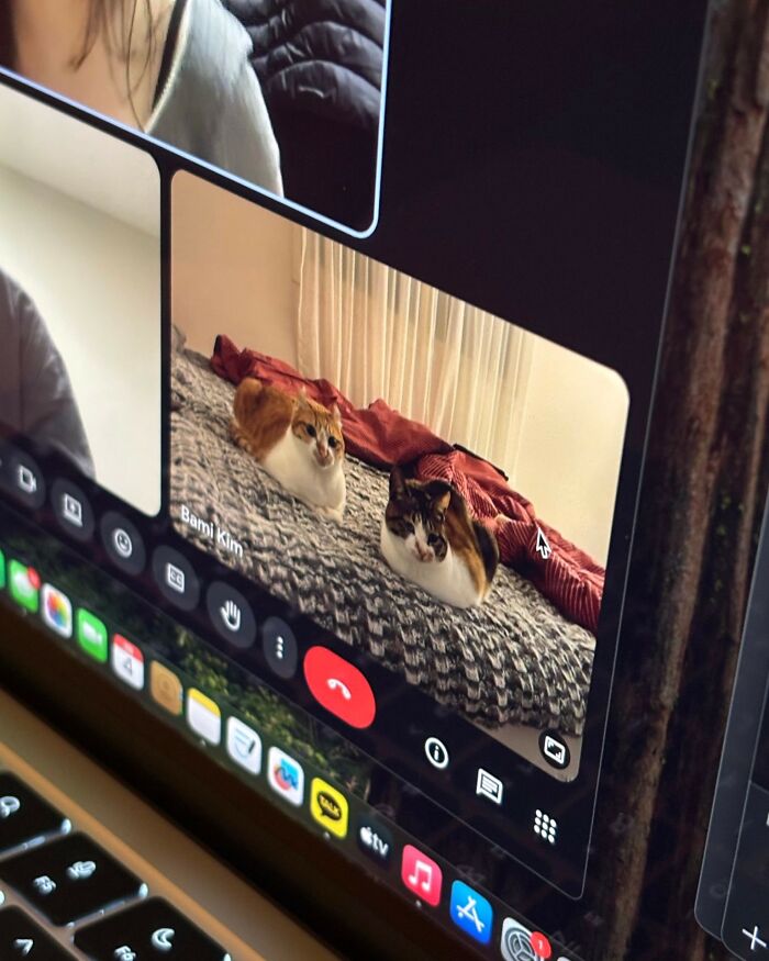 93 Hilarious Memes With A Hint Of Cynicism 93 Hilarious Memes With A Hint Of Cynicism