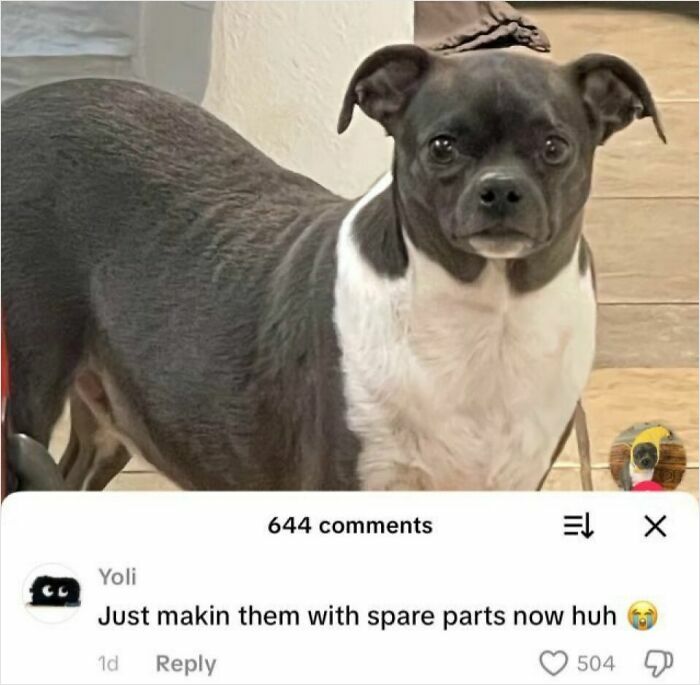 93 Hilarious Memes With A Hint Of Cynicism 93 Hilarious Memes With A Hint Of Cynicism