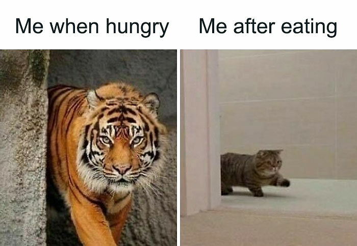 79 Funny And Chaotic Marriage Memes To Send Your Partner Instead Of Paying For Couple’s Therapy 79 Funny And Chaotic Marriage Memes To Send Your Partner Instead Of Paying For Couple’s Therapy