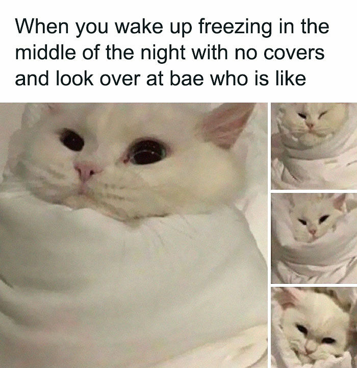 79 Funny And Chaotic Marriage Memes To Send Your Partner Instead Of Paying For Couple’s Therapy 79 Funny And Chaotic Marriage Memes To Send Your Partner Instead Of Paying For Couple’s Therapy