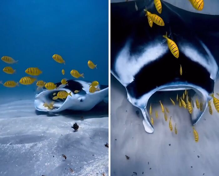 71 Unexpected Ocean Photos That Might Freak You Out