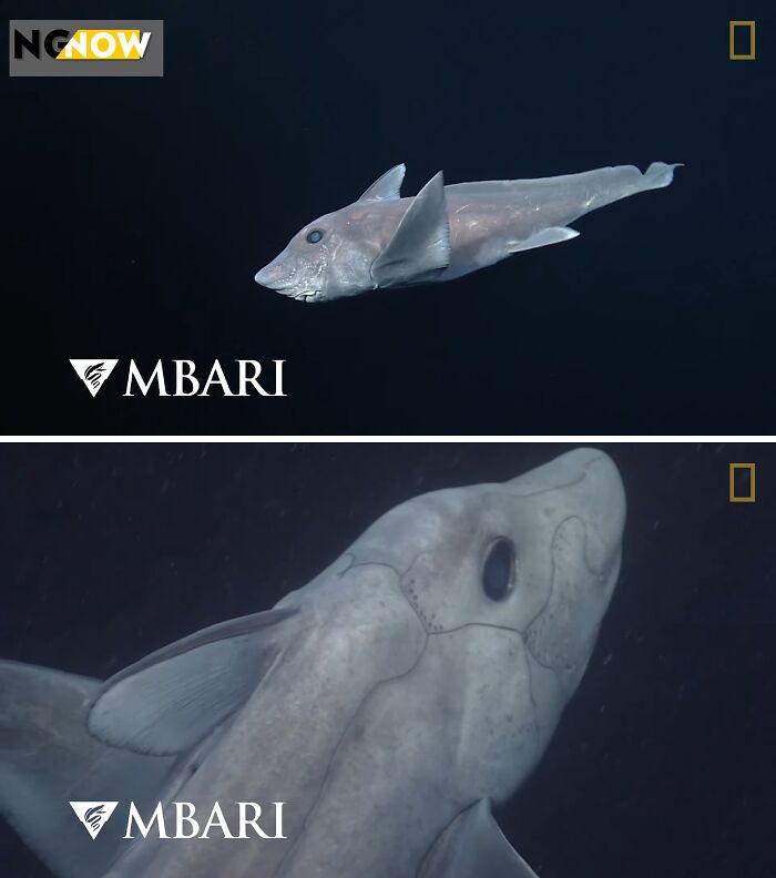 71 Unexpected Ocean Photos That Might Freak You Out