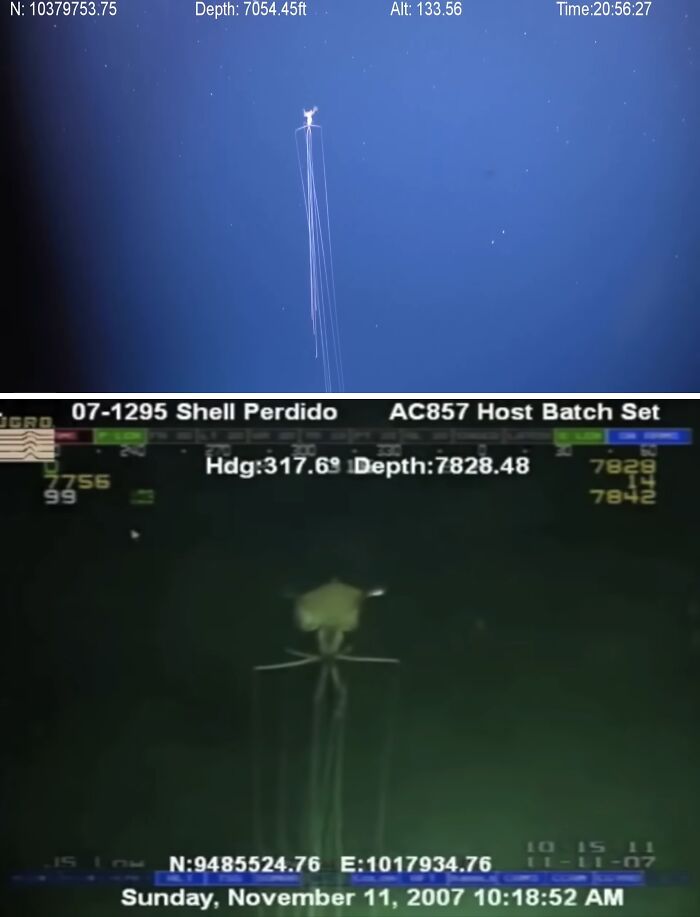 71 Unexpected Ocean Photos That Might Freak You Out