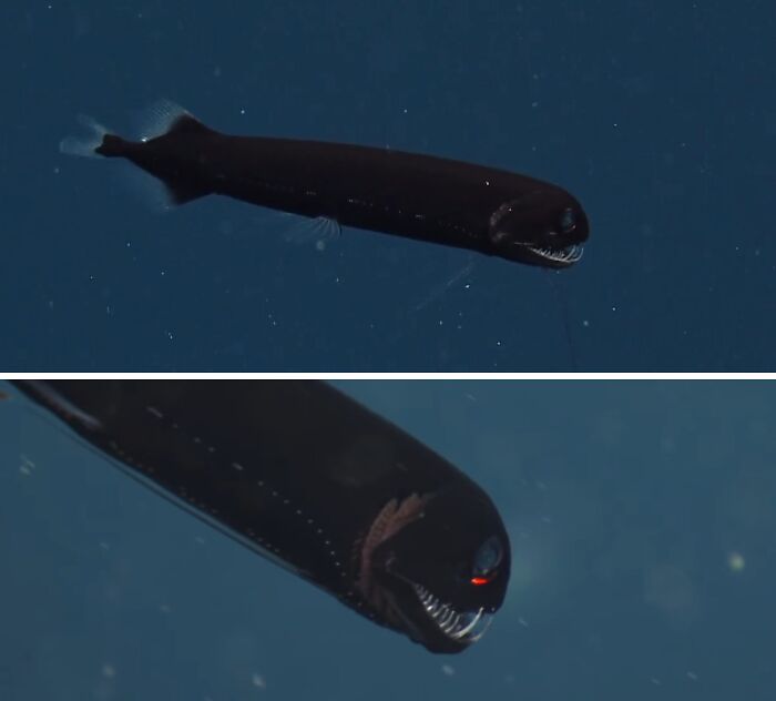 71 Unexpected Ocean Photos That Might Freak You Out