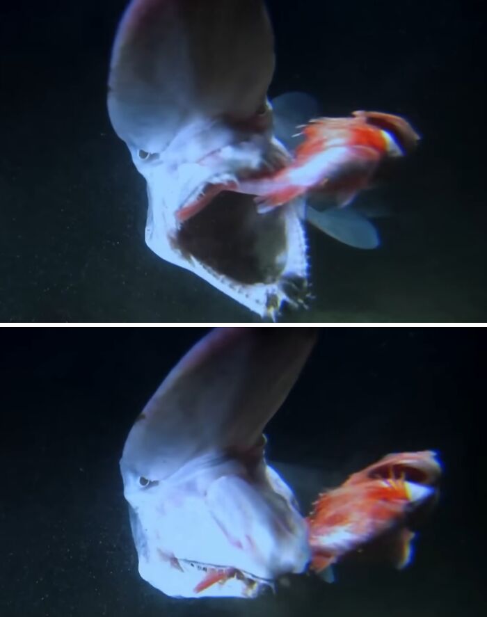 71 Unexpected Ocean Photos That Might Freak You Out