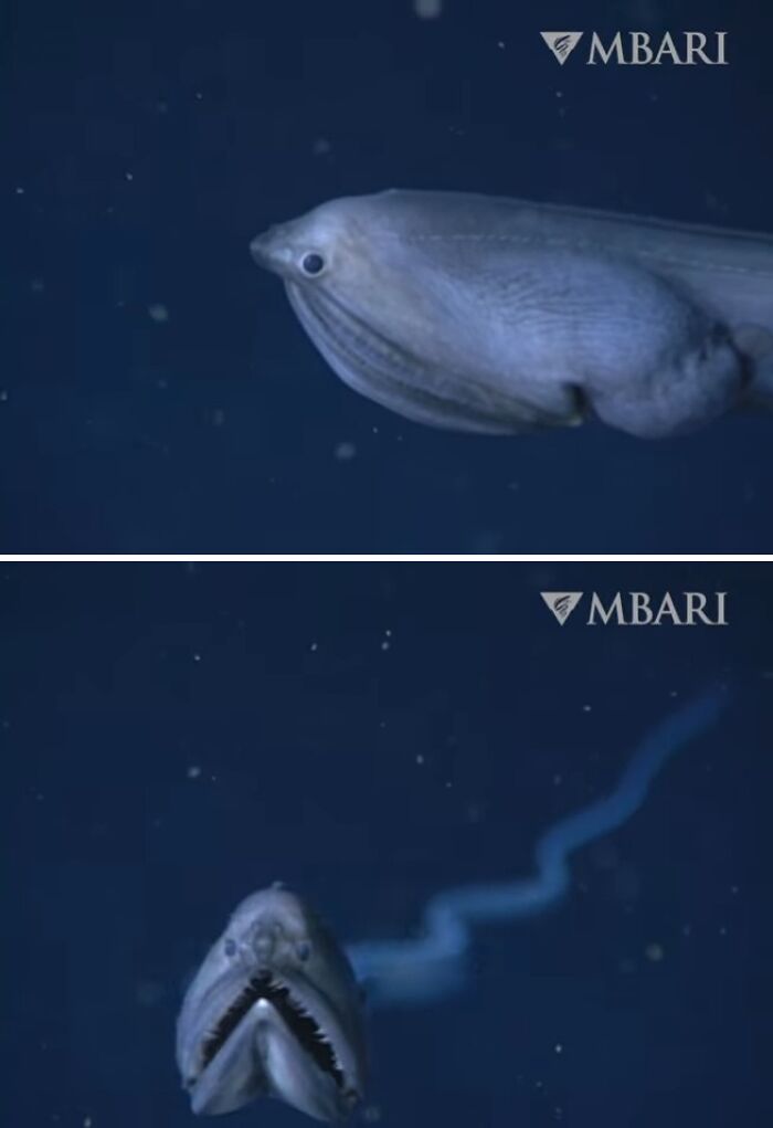 71 Unexpected Ocean Photos That Might Freak You Out