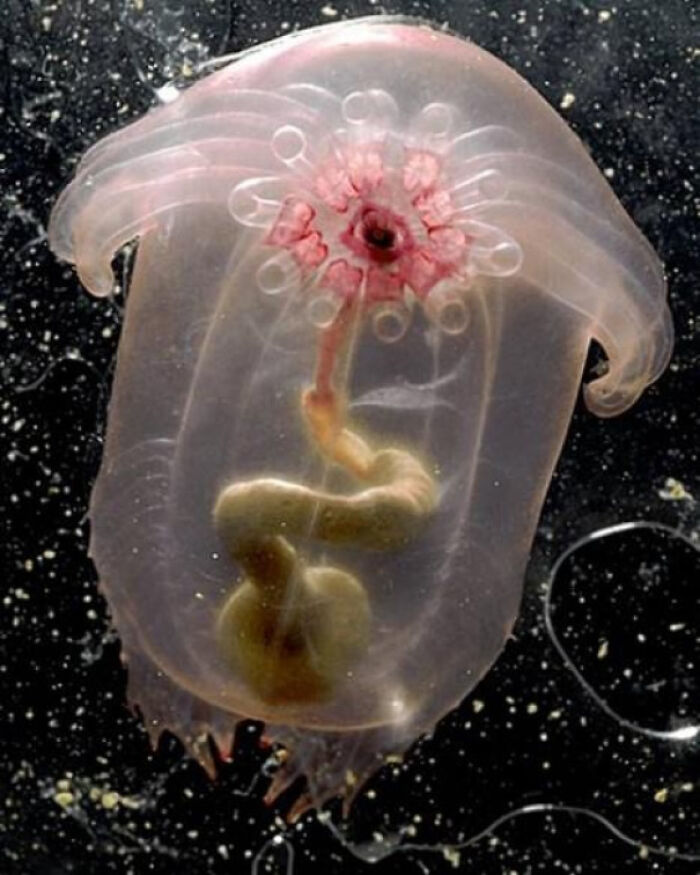 71 Unexpected Ocean Photos That Might Freak You Out