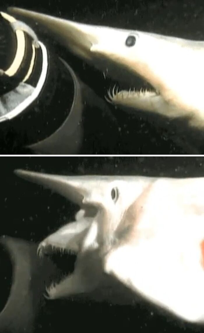 71 Unexpected Ocean Photos That Might Freak You Out