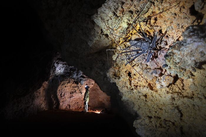Close-Up Photographer Of The Year Reveals 33 Stunning Winning Images Close-Up Photographer Of The Year Reveals 33 Stunning Winning Images