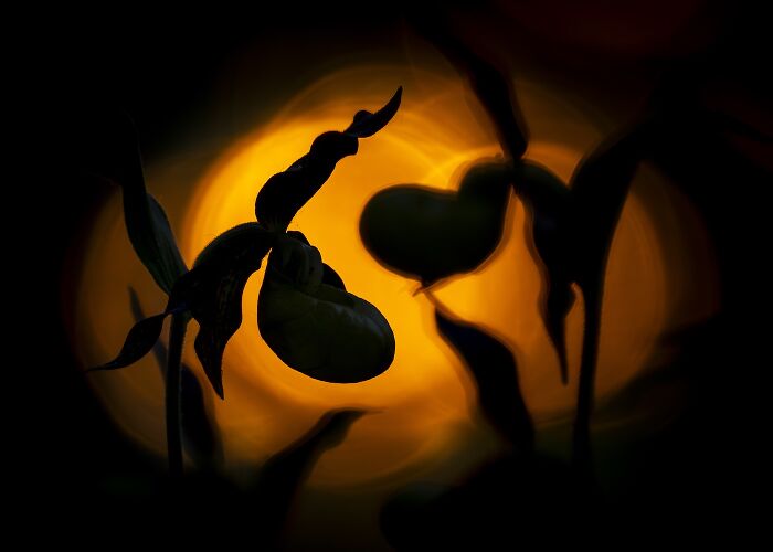 Close-Up Photographer Of The Year Reveals 33 Stunning Winning Images Close-Up Photographer Of The Year Reveals 33 Stunning Winning Images