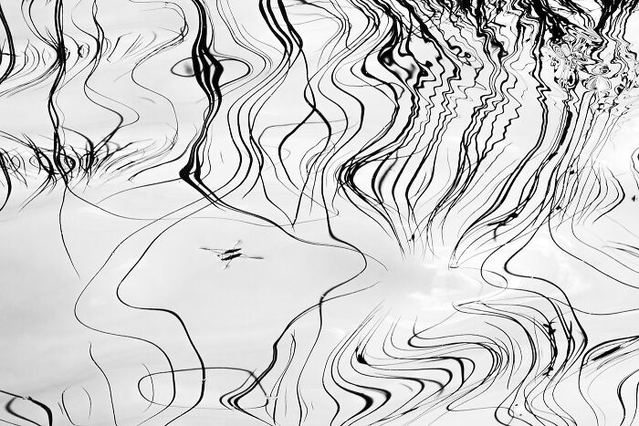 Close-Up Photographer Of The Year Reveals 33 Stunning Winning Images Close-Up Photographer Of The Year Reveals 33 Stunning Winning Images