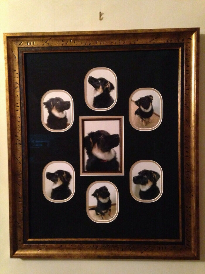 60 Times Parents Brought Joy To Their Children&rsquo;s Lives And Deserved To Go Viral (New Pics)