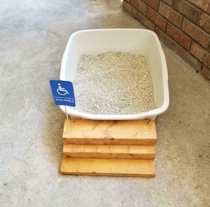 60 Times Parents Brought Joy To Their Children&rsquo;s Lives And Deserved To Go Viral (New Pics)