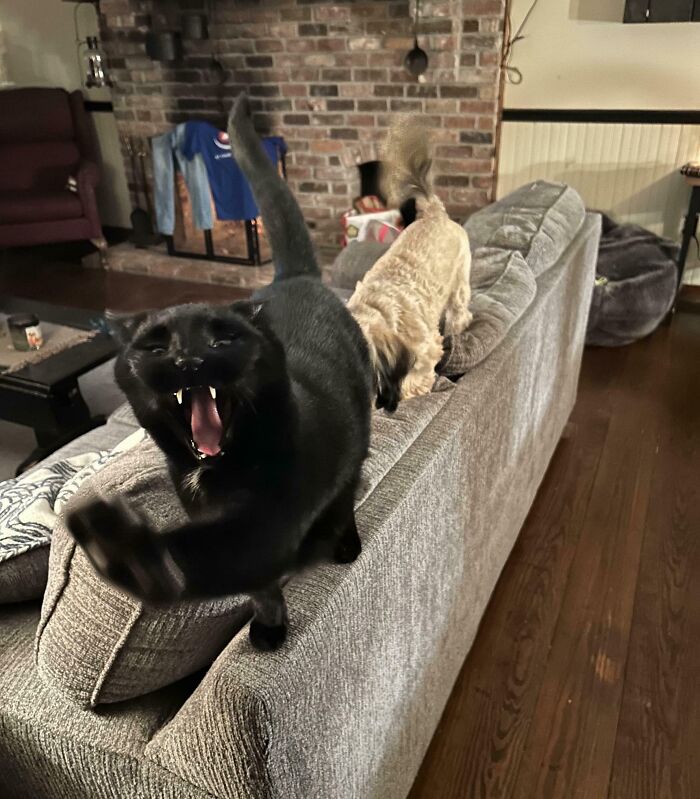 60 Times Parents Brought Joy To Their Children&rsquo;s Lives And Deserved To Go Viral (New Pics)