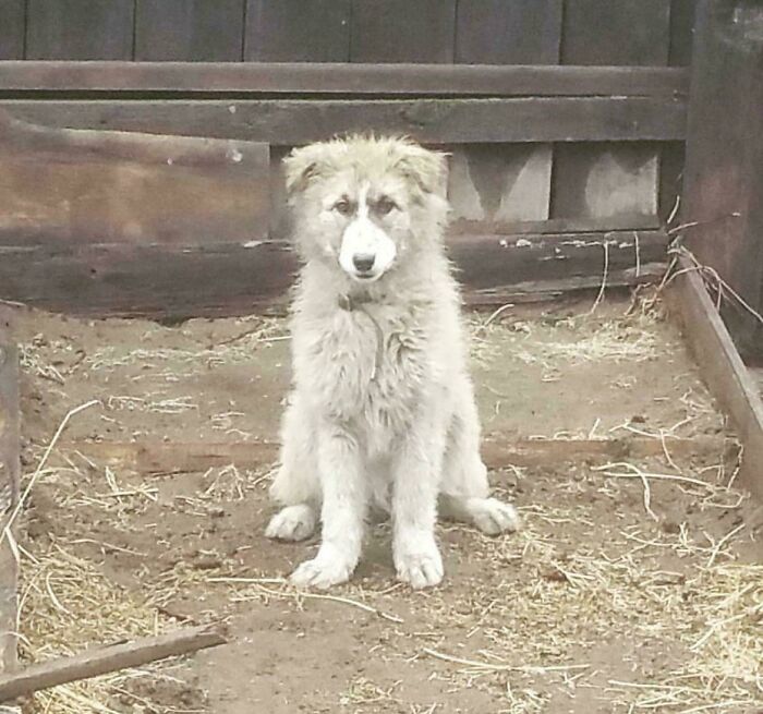 60 Times Parents Brought Joy To Their Children&rsquo;s Lives And Deserved To Go Viral (New Pics)
