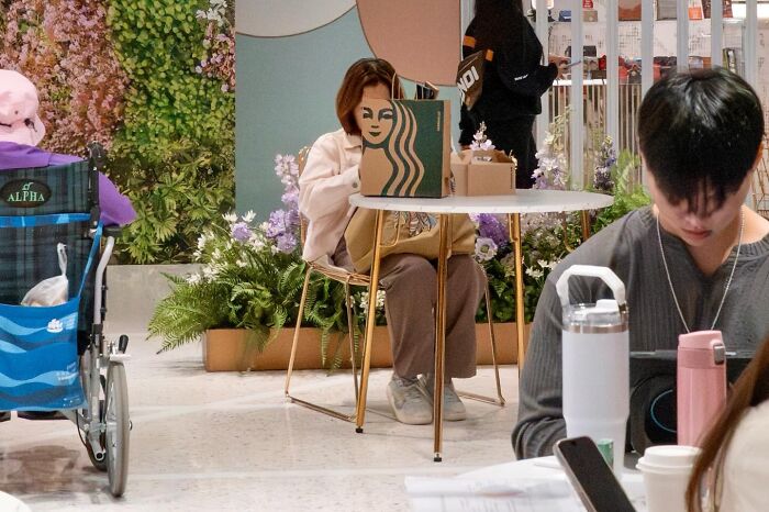 Lucky Coincidences: 30 Perfectly Timed Pictures Taken By Edas Wong (New Pics)