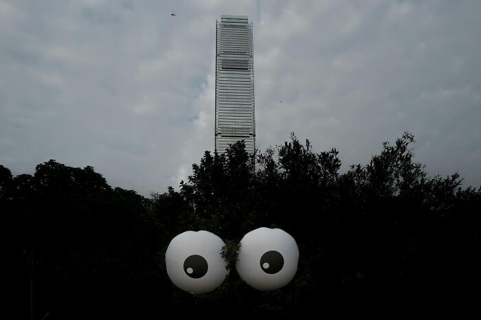 Lucky Coincidences: 30 Perfectly Timed Pictures Taken By Edas Wong (New Pics)