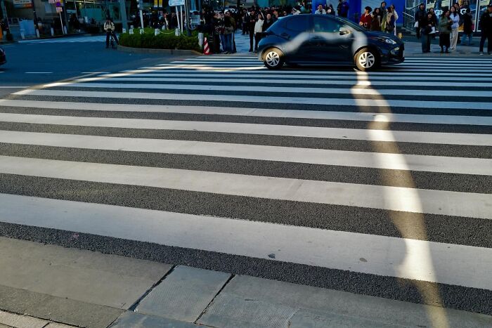 Lucky Coincidences: 30 Perfectly Timed Pictures Taken By Edas Wong (New Pics)