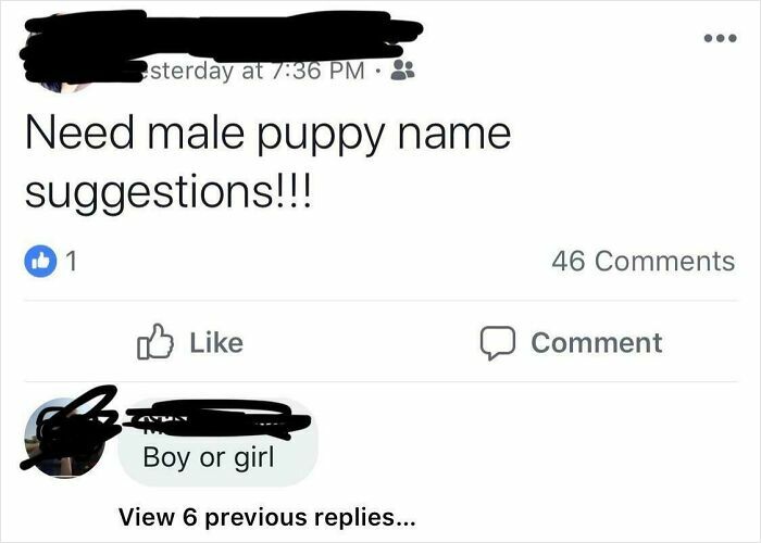 54 People So Dumb You Might Feel Your IQ Drop After Reading Their Posts (New Pics)