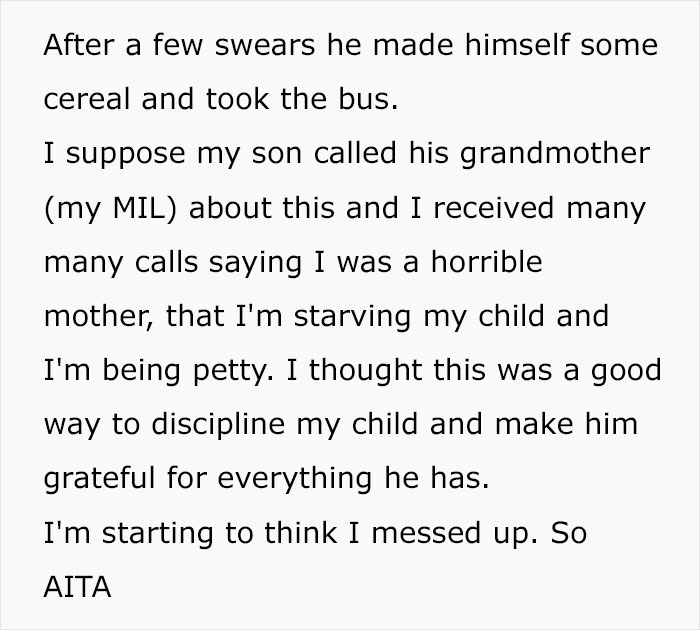 Teen Becomes An Exemplary Son After Mom Punishes Him By Doing Exactly What He Wished, MIL Is Furious