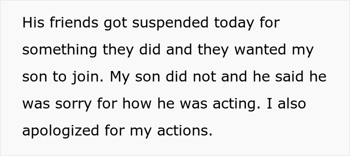 Teen Becomes An Exemplary Son After Mom Punishes Him By Doing Exactly What He Wished, MIL Is Furious