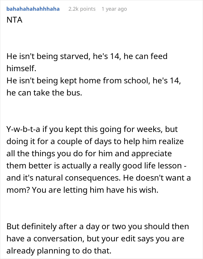 Teen Becomes An Exemplary Son After Mom Punishes Him By Doing Exactly What He Wished, MIL Is Furious