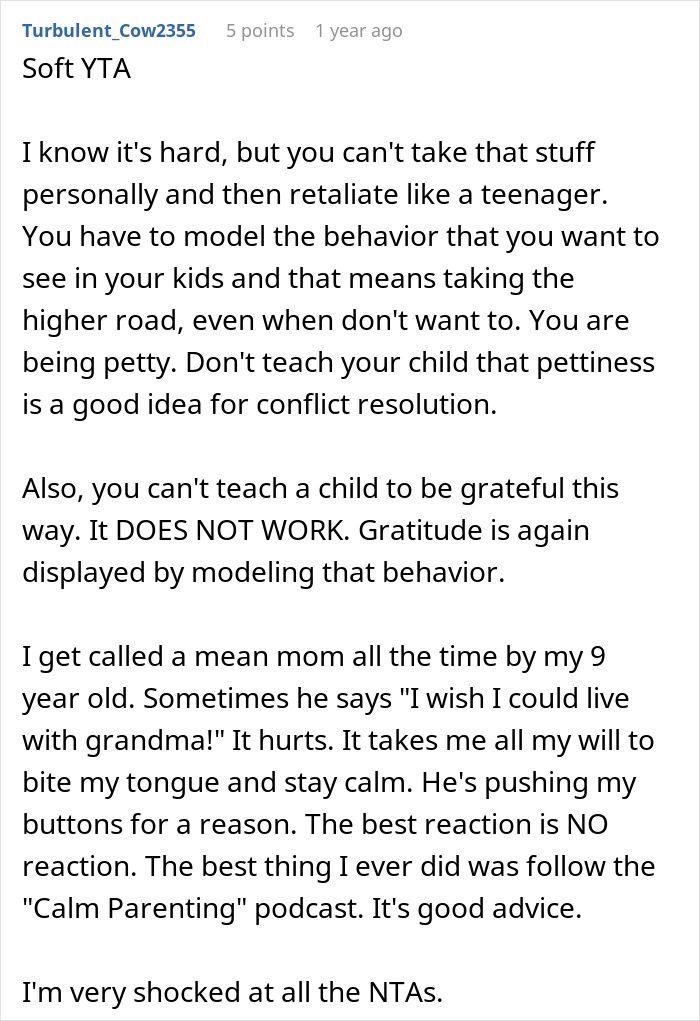 Teen Becomes An Exemplary Son After Mom Punishes Him By Doing Exactly What He Wished, MIL Is Furious