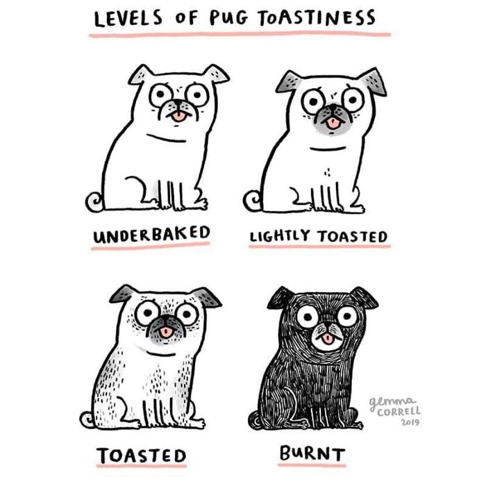 This Artist’s 37 Comics Explain Why Pug Owners Are The Way They Are This Artist’s 37 Comics Explain Why Pug Owners Are The Way They Are