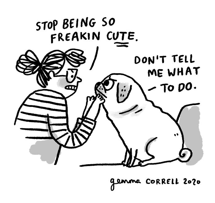 This Artist’s 37 Comics Explain Why Pug Owners Are The Way They Are This Artist’s 37 Comics Explain Why Pug Owners Are The Way They Are