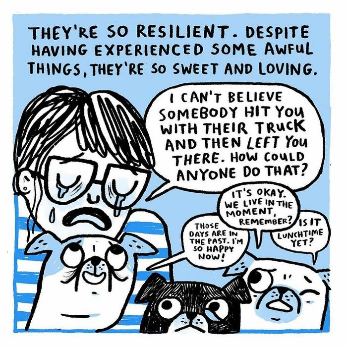 This Artist’s 37 Comics Explain Why Pug Owners Are The Way They Are This Artist’s 37 Comics Explain Why Pug Owners Are The Way They Are