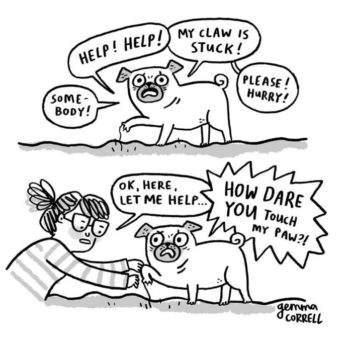 This Artist’s 37 Comics Explain Why Pug Owners Are The Way They Are This Artist’s 37 Comics Explain Why Pug Owners Are The Way They Are