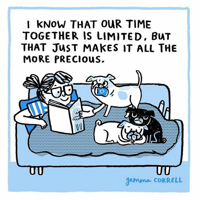This Artist’s 37 Comics Explain Why Pug Owners Are The Way They Are This Artist’s 37 Comics Explain Why Pug Owners Are The Way They Are