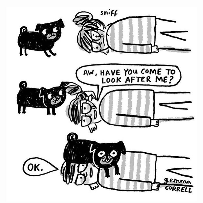 This Artist’s 37 Comics Explain Why Pug Owners Are The Way They Are This Artist’s 37 Comics Explain Why Pug Owners Are The Way They Are