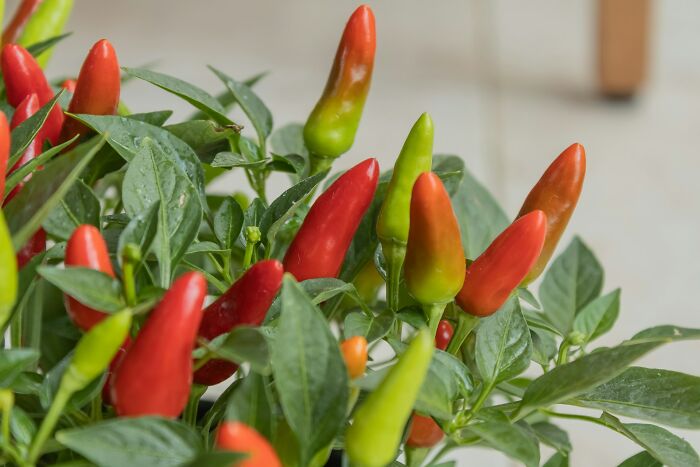 40 Brutal Wake-Up Calls That Made People Remove Themselves From A Nasty Situation Immediately