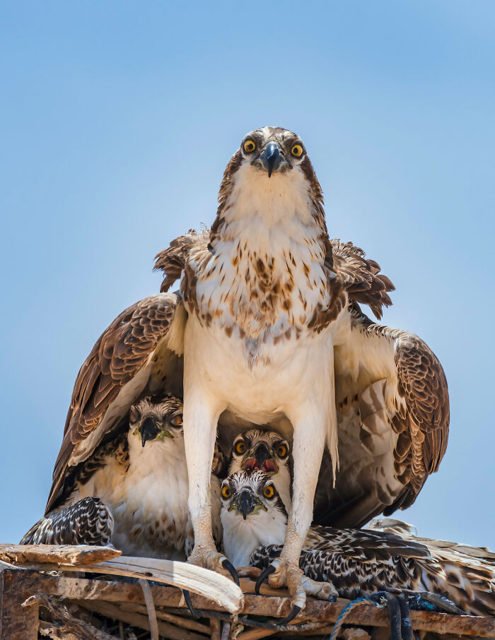 The 2025 International Photography Awards Shared The Best 60 Non-Professional Photos The 2025 International Photography Awards Shared The Best 60 Non-Professional Photos