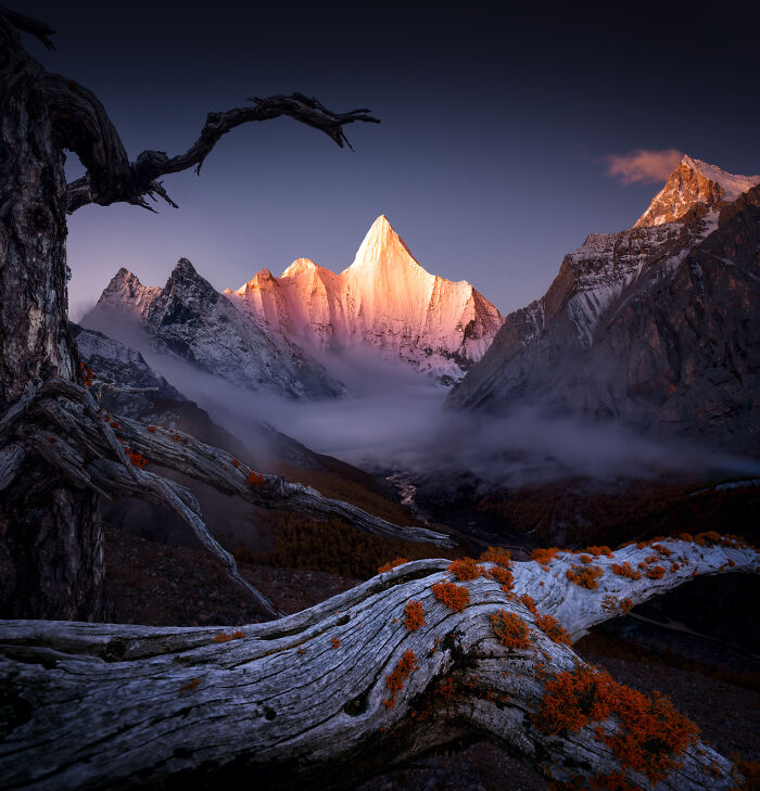 The 2025 International Photography Awards Shared The Best 60 Non-Professional Photos The 2025 International Photography Awards Shared The Best 60 Non-Professional Photos