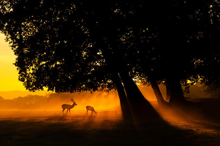 The 2025 International Photography Awards Shared The Best 60 Non-Professional Photos The 2025 International Photography Awards Shared The Best 60 Non-Professional Photos