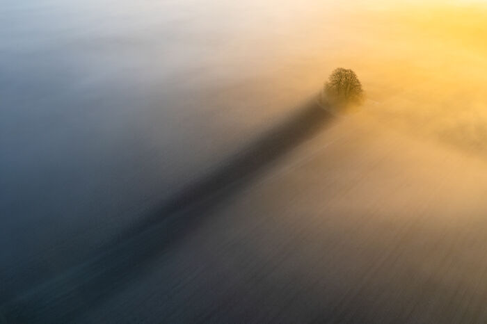 The 2025 International Photography Awards Shared The Best 60 Non-Professional Photos The 2025 International Photography Awards Shared The Best 60 Non-Professional Photos