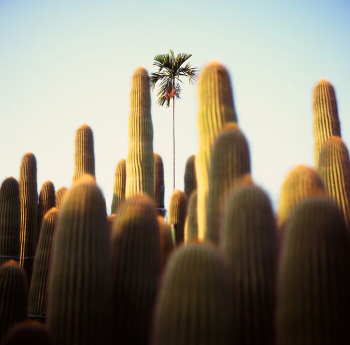 The 2025 International Photography Awards Shared The Best 60 Non-Professional Photos The 2025 International Photography Awards Shared The Best 60 Non-Professional Photos