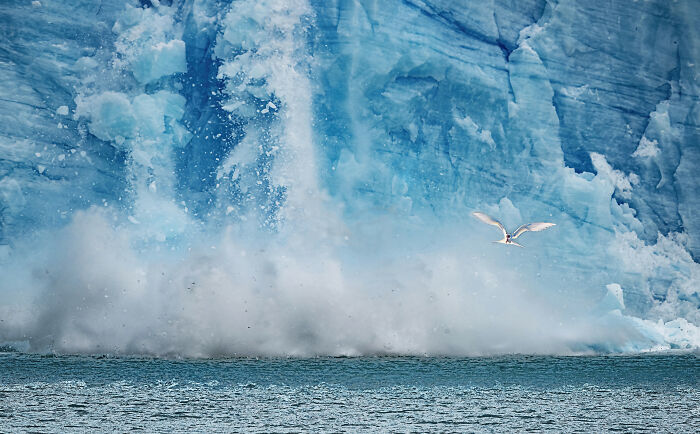 The 2025 International Photography Awards Shared The Best 60 Non-Professional Photos The 2025 International Photography Awards Shared The Best 60 Non-Professional Photos