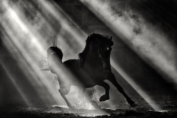 The 2025 International Photography Awards Shared The Best 60 Non-Professional Photos The 2025 International Photography Awards Shared The Best 60 Non-Professional Photos