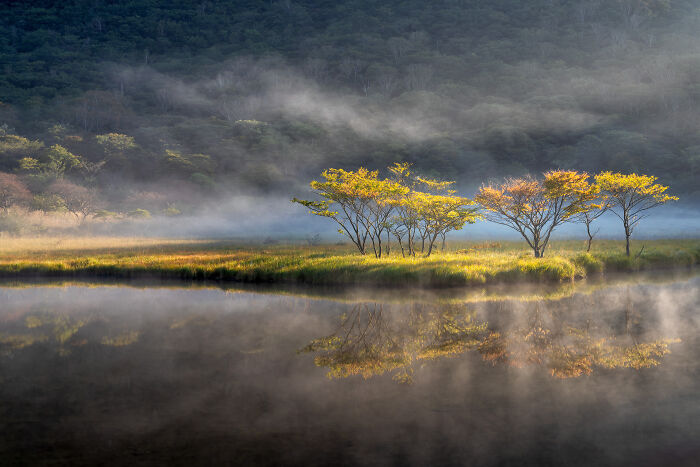 The 2025 International Photography Awards Shared The Best 60 Non-Professional Photos The 2025 International Photography Awards Shared The Best 60 Non-Professional Photos