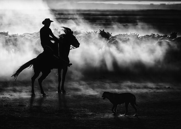 The 2025 International Photography Awards Shared The Best 60 Non-Professional Photos The 2025 International Photography Awards Shared The Best 60 Non-Professional Photos